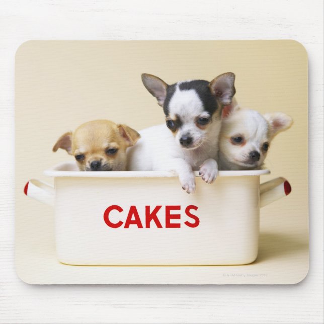 Three chihuahua puppies in cake tin mouse mat (Front)