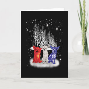 Three Chihuahua Snow Patriotic American Christmas Card
