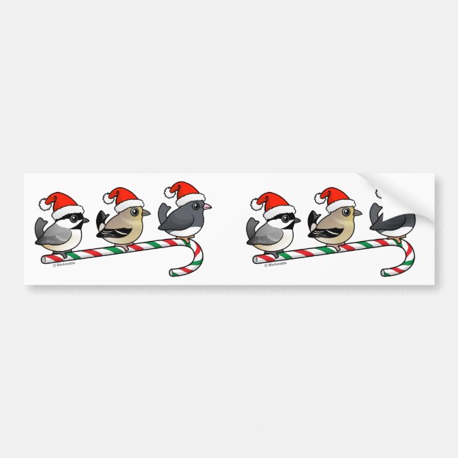 Three Christmas Finches (US) Bumper Sticker (Front)