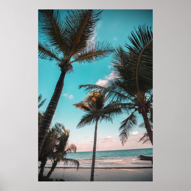 Three coconut trees on seashore poster (Front)