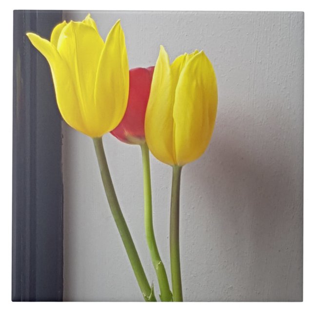 Three colorful tulips ceramic tile (Front)