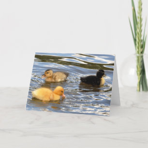 Three coloured ducklings card