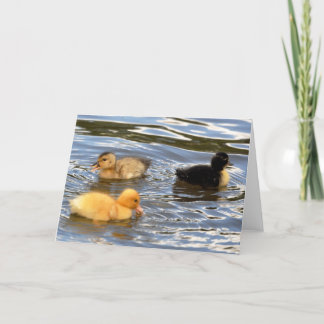 Three coloured ducklings card