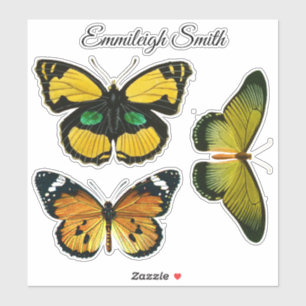 Three Colourful Butterflies Your Name