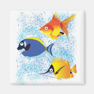 Three Colourful Fish Magnet