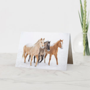 Three Colourful Horses - Greeting Card