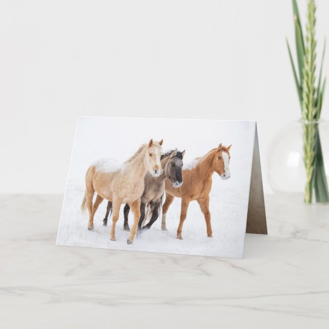 Three Colourful Horses - Greeting Card (Front)