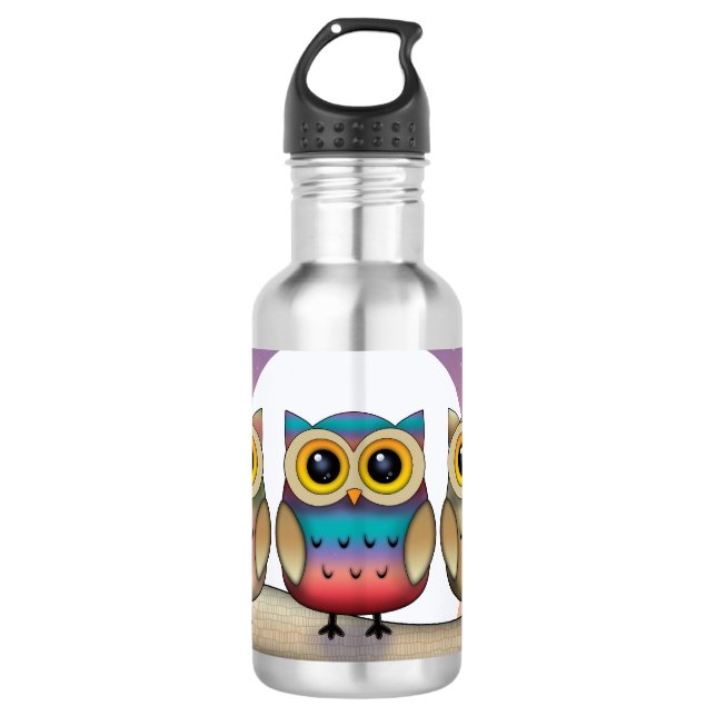 Three Colourful Owls 710 Ml Water Bottle (Front)