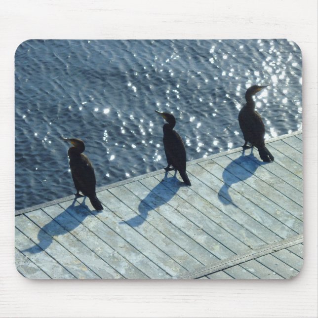 Three Cormorants Mouse Mat (Front)
