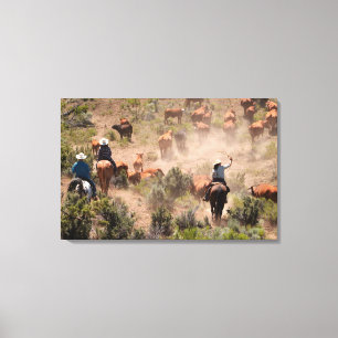 Three cowboys and cowgirls driving cattle canvas print