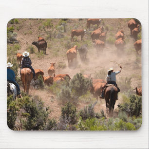 Three cowboys and cowgirls driving cattle mouse mat
