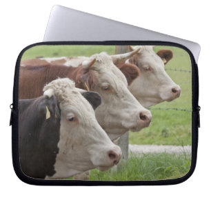 Three Cows in a Row Laptop Sleeve