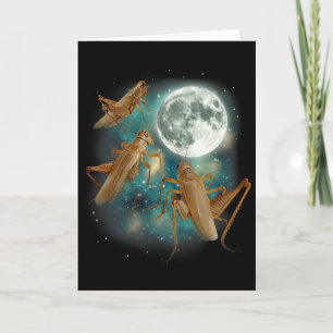 Three Cricket Moon 3 Insect Howling Meme Magic Cur Card