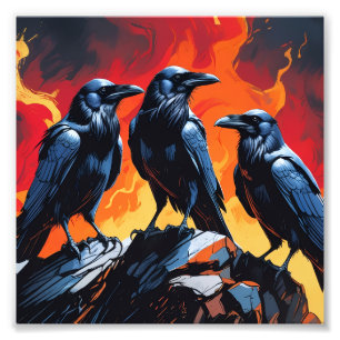 Three Crows Photo Print