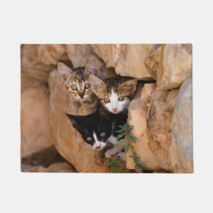 Three curious cat kittens doormat