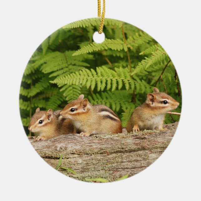 Three Cute Baby Chipmunks Ceramic Tree Decoration (Front)