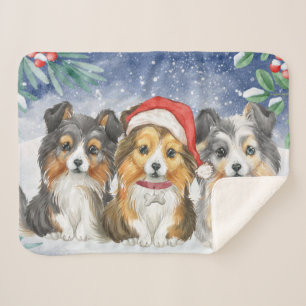 Three Cute Christmas Shelties in the Snow  Sherpa Blanket