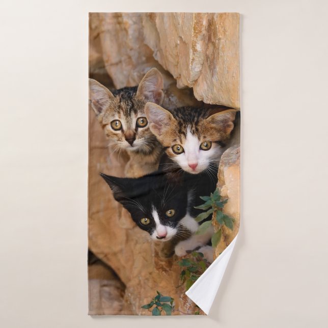 Three Cute Curious Cat Kittens Faces Funny Photo - Bath Towel Set (Bath Towel)