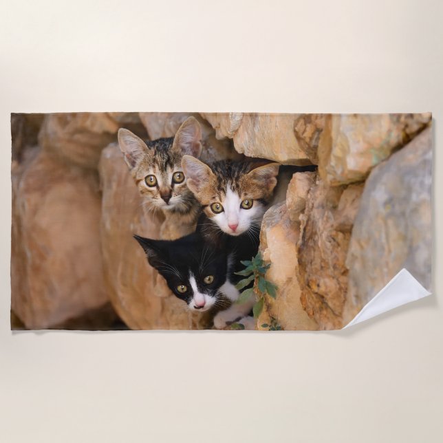 Three Cute Curious Cat Kittens Faces Funny Photo , Beach Towel (Front)