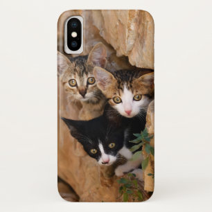 Three Cute Curious Cat Kittens Faces Funny Photo - iPhone X Case