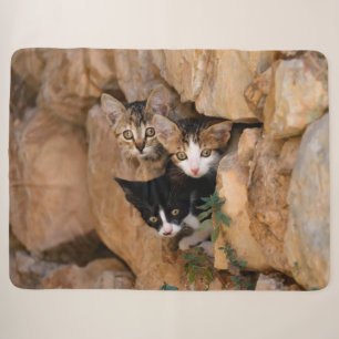 Three Cute Curious Cat Kittens Faces Funny Photo , Sherpa Blanket