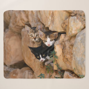 Three Cute Curious Cat Kittens Faces Funny Photo . Sherpa Blanket