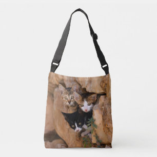 Three Cute Curious Cat Kittens Funny Photo - on Crossbody Bag