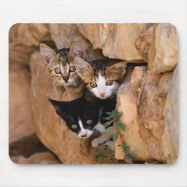 Three cute curious kittens mouse mat (Front)