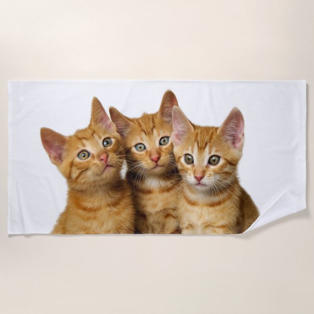 Three Cute Ginger Cat Kittens Friends Head Photo , Beach Towel (Front)