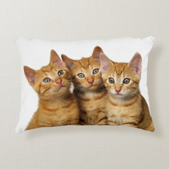Three Cute Ginger Cat Kittens Friends Head Photo - Decorative Cushion (Front)