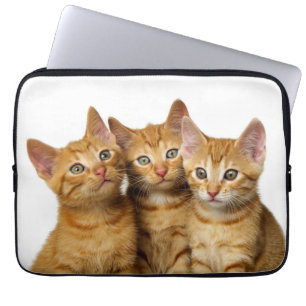 Three Cute Ginger Cat Kittens Friends Head Photo - Laptop Sleeve