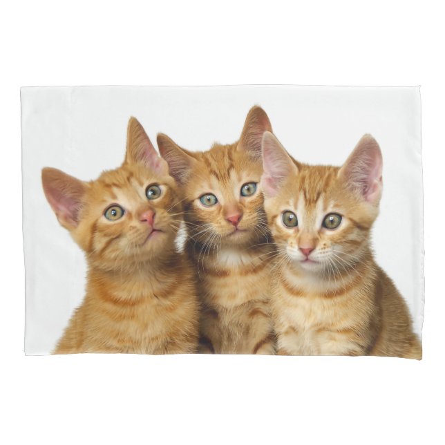 Three Cute Ginger Cat Kittens Friends Head Photo - Pillowcase (Front)