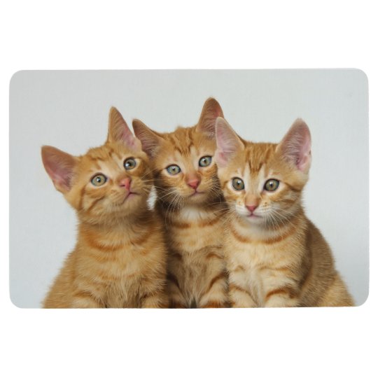 Three Cute Ginger Cat Kittens Together Ground Floor Mat Zazzle