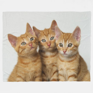 Three cute ginger kittens portraits side by side - fleece blanket