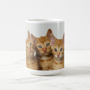 Three cute ginger kittens side by side coffee mug