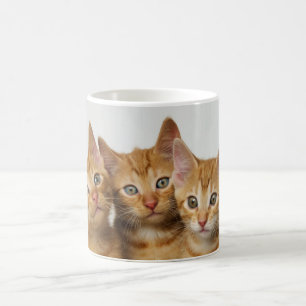 Three cute ginger kittens side by side coffee mug