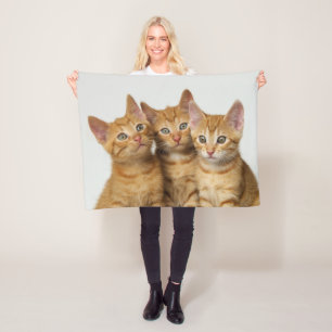 Three cute ginger kittens sitting side by side - fleece blanket
