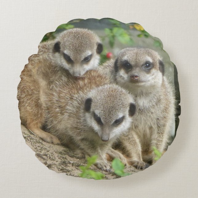Three Cute Meerkats Round Pillow (Front)