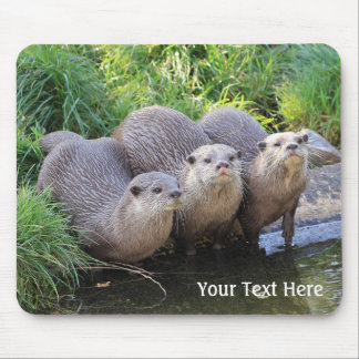 Three Cute Otters Wildlife Photography Mouse Mat