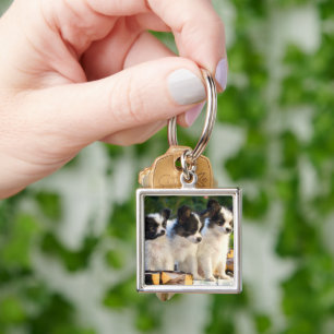 Three Cute Papillon Puppies on a Garden Bench  Key Ring