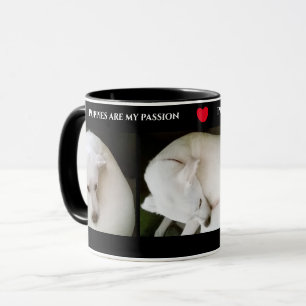 Three Cute Photos of a Beautiful White Dog Black  Mug