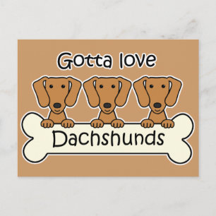 Three Dachshunds Postcard