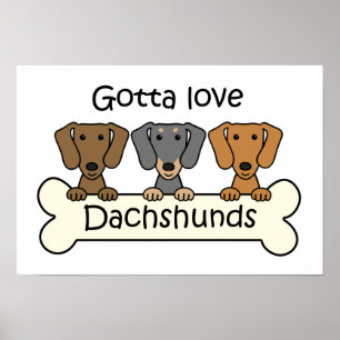 Three Dachshunds Poster