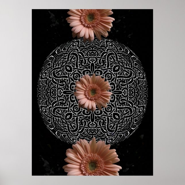 Three Daisies Poster (Front)