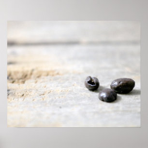 Three Dark Coffee Beans on an Old Wood Crate 16x20 Poster