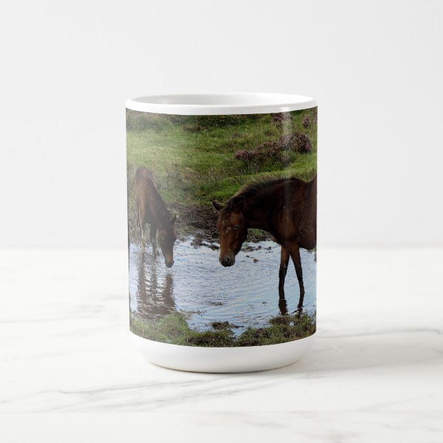 Three Dartmoor Ponies Drinking At Watering Hole Coffee Mug (Center)
