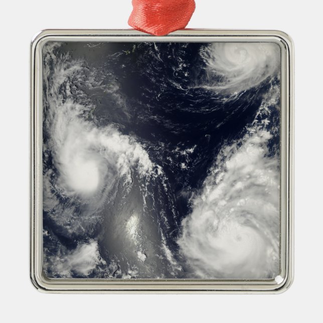 Three different typhoons metal tree decoration (Front)