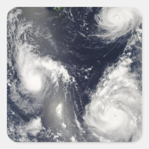 Three different typhoons square sticker