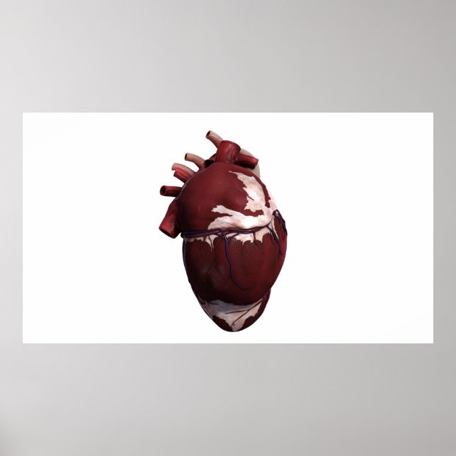 Three Dimensional View Of Human Heart, Left Side Poster (Front)