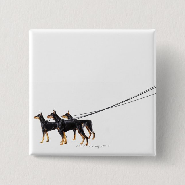 Three Dobermans on leash 15 Cm Square Badge (Front)